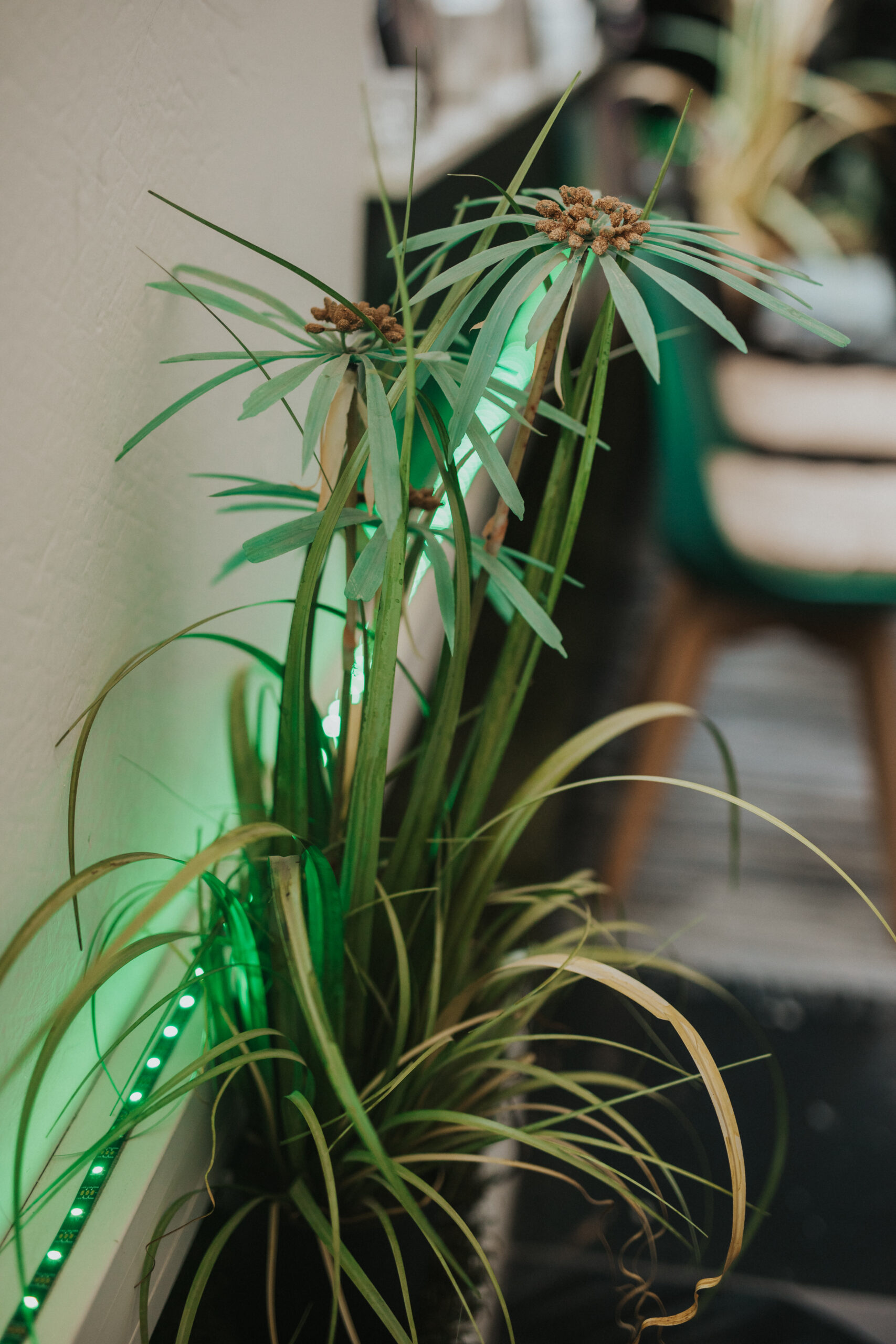 Galeriide Öö vol 17 - avatud uksed, struktuurmaali töötuba, pidu - Image 8